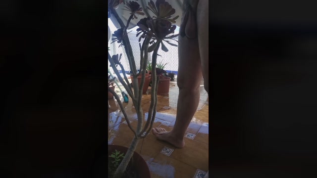 pacohotsexy4  07-06-2022